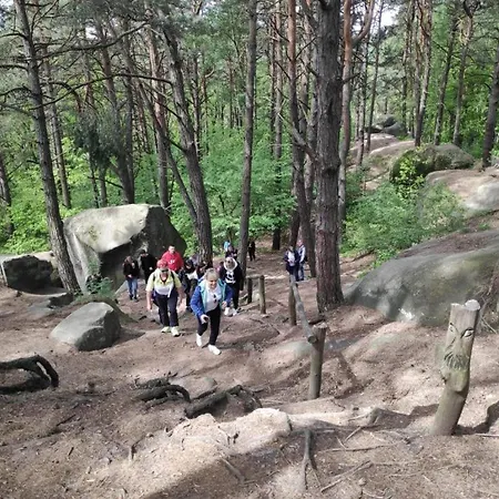 Zdrowa 6 公寓 Ciezkowice